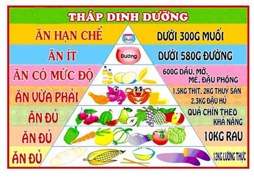 CUNG CẤP DINH DƯỠNG CHO BÉ THEO TỪNG GIAI ĐOẠN TỪ 0 -12 THÁNG TUỔI VỚI THÁP DINH DƯỠNG